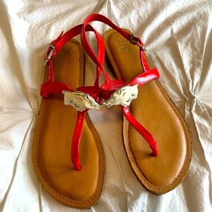 University of Arkansas Razorback sandals
